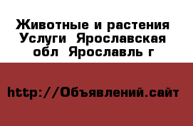 Животные и растения Услуги. Ярославская обл.,Ярославль г.